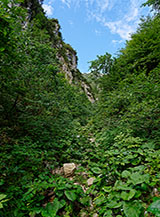 All&rsquo;ingresso del boscoso canyon nella Val Grande di Ometto.