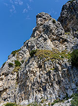 Ai piedi della Pala di Cherle.