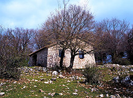 Cima Casarene