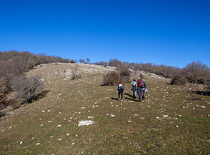 Il crestone prativo che sale da sud su Cima Casarene.