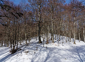 Il Valico di Croce Campitelli.