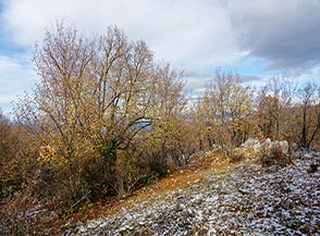 Prima neve sul crinale di Costa Vedica.