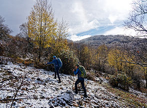 Sul crinale di Costa Vedica verso Colle Rotondo.