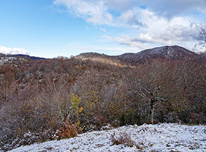Vista su Cima Piccolaro (al centro ma poco evidente) da Monte Rocca Canali.