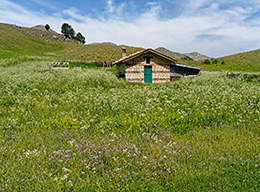 Cima Coppo del Campitello e Monte della Corte