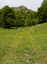 Scorcio primaverile dal Coppo del Campitello.