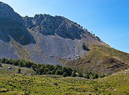 Cima Costa delle Cese e Monte Forcellone