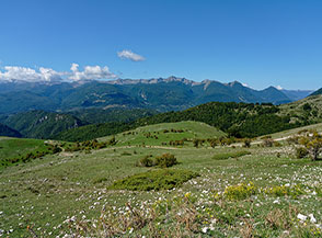 I Monti della Meta ripresi durante la salita verso Colle della Monna.