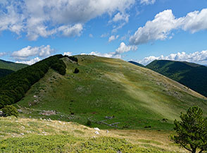 I verdi pascoli di Cresta della Monna.