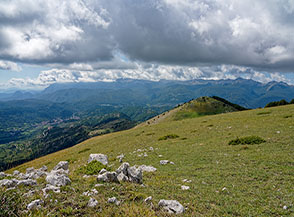 Scorcio dei vasti pendii prativi che degradano sul versante meridionale di Cresta della Monna.