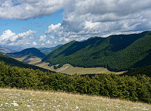 Scorcio del Piano Aremogna e della boscosa cresta del Monte Arazzecca ripresi dalla Cresta della Monna.