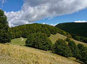 La sella che collega la Cresta della Monna con il Colle le Crocelle (sullo sfondo in ombra).