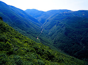 La boscosissima Valle Petrinara.