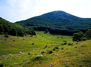 Il verde specchio di Prato San Giacomo sovrastato da Cima d&rsquo;Arme.