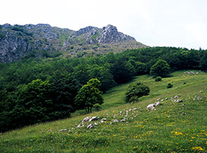 Scorcio lungo la Cresta Est di Cima d&rsquo;Arme.
