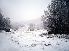 Ritorno in Valle Leona sotto una fitta nevicata.