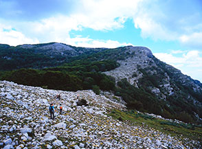Lungo la cresta del Monte Categlia in direzione del Sant&rsquo;Angelo.