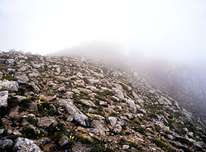 Le nuvole ci avvolgono a pochi metri dalla cima del Monte Sant&rsquo;Angelo (Cresta Ovest).