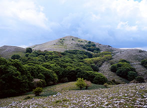 Il Monte Altino ripreso da est.