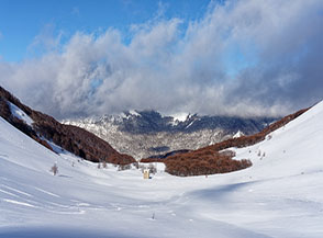 Dalla testata della Vall&rsquo;Organo vista verso la Vallonina.