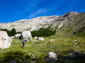 La suggestiva ed amena radura della Sala del Monaco in Valle di Macchia Lunga.