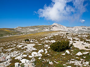 Uno sguardo verso il Monte Amaro (sullo sfondo) da Cima dell&rsquo;Altare.