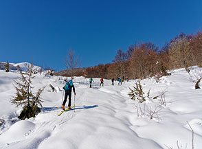 Durante la salita si esce momentaneamente dal bosco nella radura de le Cannare.