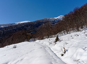 Dalla radura de le Cannare vista verso il Monte di Mezzo.