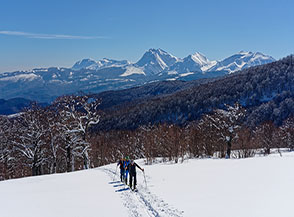 All&rsquo;uscita dal bosco ai piedi dello Iaccio Tondo con la catena del Gran Sasso sullo sfondo.