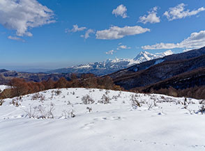 Appena il bosco si apre lo sguardo si libera e vaga all&rsquo;orizzonte (le Cannare).