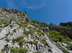 Scorcio sui Lastroni del Verde (tratto centrale).
