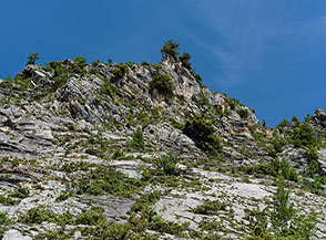 &ldquo;Con il naso all&rsquo;ins&ugrave;&ldquo; (Lastroni del Verde).