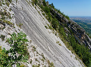 Particolare di una grossa placca di roccia quasi del tutto priva di fratture (Lastroni del Verde).