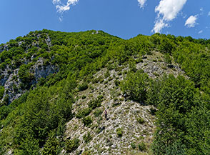 La costa che si fa boscosa e conduce alla Cresta Est di Cima della Stretta.