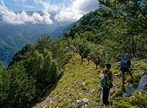 Sulla cresta boscosa verso il Valico dei Valloni.