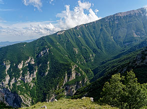 Vista sulla boscosa Valle di Macchia Lunga.