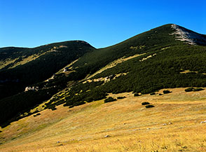 Dai prati del Valico di Monte Ugni vista sulla Cresta del Martellese.
