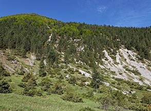 Scorcio nel tratto centrale della Valle di Curti.
