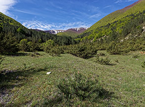 Paesaggio alpino nella Valle di Curti.
