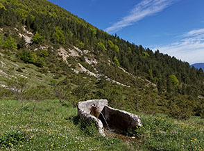 Il fontanile diruto di Sorgente Merlo in Valle di Curti.