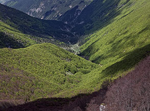 Affaccio sul Vallone Grottella (in primo piano) e la Valle di Curti (in ombra sullo sfondo).
