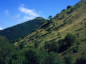 Valle del Chiarino, pendici Ovest di Monte Corvo.