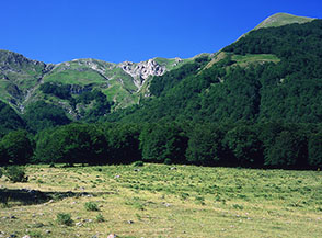 Piano del Castrato in Val Chiarino.