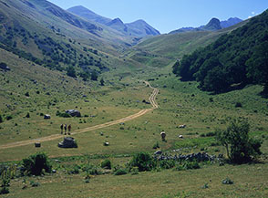 I pascoli della Masseria Vaccareccia in Val Chiarino.