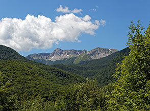 Dalla Valle del Rio Torto vista sulla cresta dei Monti della Meta.