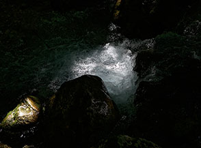 &ldquo;Sorgente di luce&ldquo; (nell&rsquo;oscuro sottobosco un raggio di luce colpisce le acque del Rio Torto).