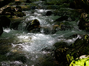 Il Rio Torto scivola spumeggiante tra le rocce.