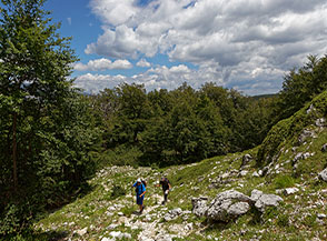 Uscendo dal bosco di Selva Bella alle pendici della Cresta Nord-Est di Cima di Lago Vivo.