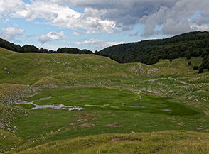 La vasta conca di escavazione glaciale del Lago Vivo con il lago quasi del tutto prosciugato.