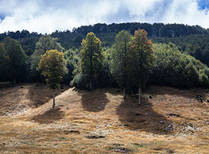Ombre sulla Dolina dei Gigantini.